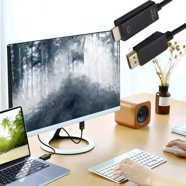 DP to HDMI Cable 1
