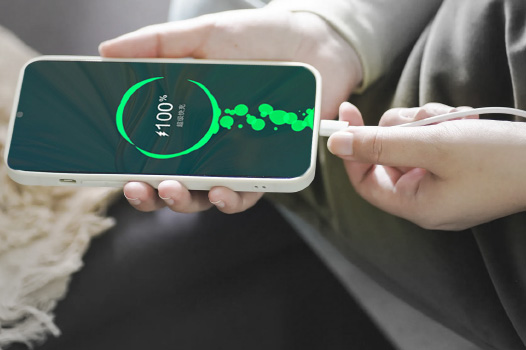 Fast Charging
